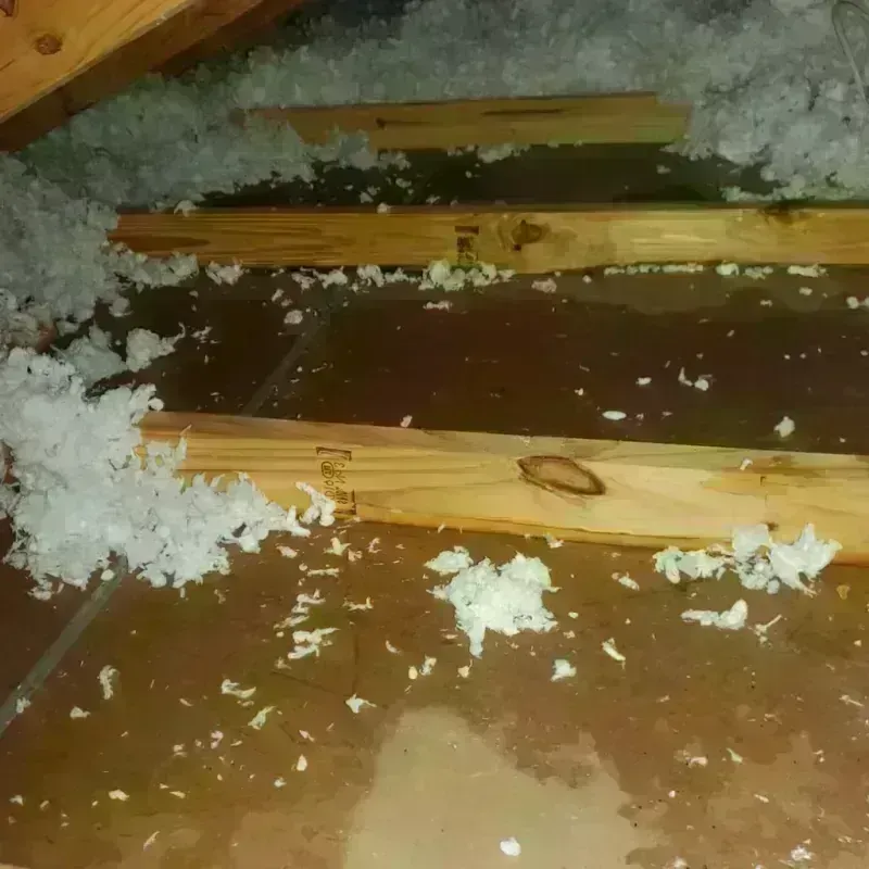 Attic Water Damage in Belgrade, MT